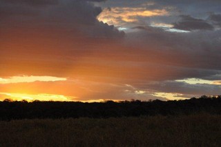 "Big 5" Safari Tour - African sunset
