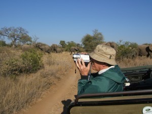 KwaZulu-Natal Bush Safari