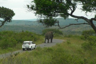 big 5 safari kzn